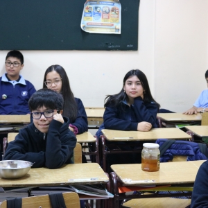 Día de la Actividad Física